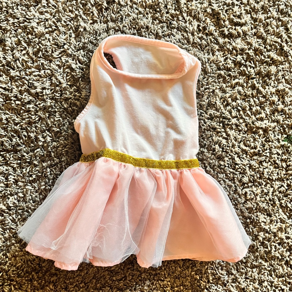 Pink and Gold Dog Dress